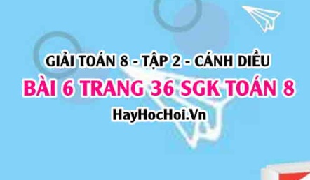 Bài 6 trang 36 Toán 8 Tập 2 Chân trời sáng tạo